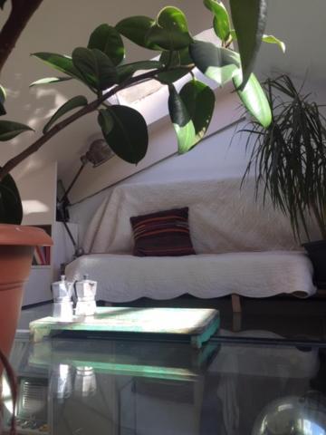 Appartamento Location 11 *